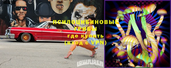 ПСИЛОЦИБИНОВЫЕ ГРИБЫ Строитель