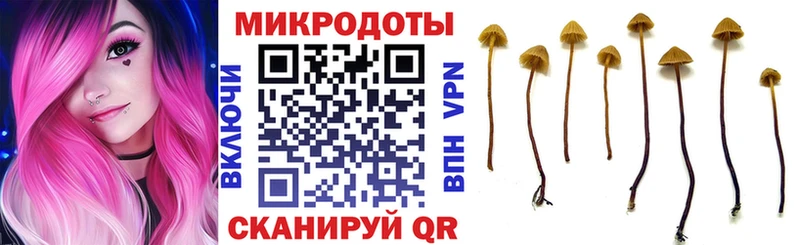 наркотики  Батайск  Псилоцибиновые грибы прущие грибы 